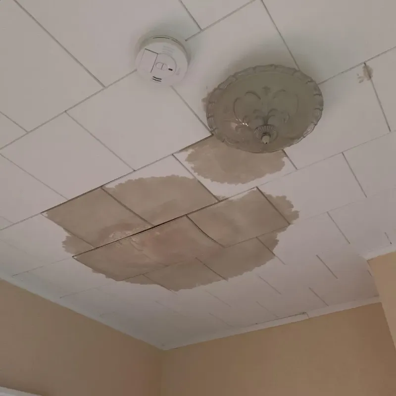 Ceiling Water Damage Repair in Jackson, NC