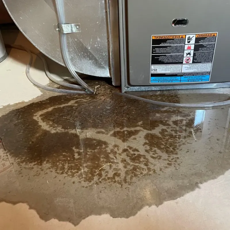 Pipe Burst and Leak Restoration in Jackson, NC